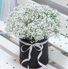 Цветочная композиция из Гипсофила в шляпной коробке #REPLACE_PRED# Нинах