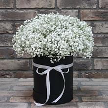 Композиция коробка гипсофил #REPLACE_PRED# Нинах Цветочная композиция из Гипсофила в шляпной коробке #REPLACE_PRED# Нинах